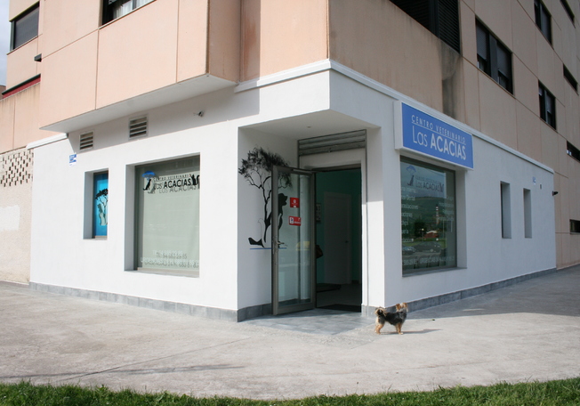 Imagen proyecto